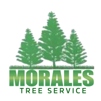 Morales tree service Logo