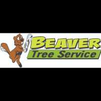 Beaver Tree Service Inc Logo