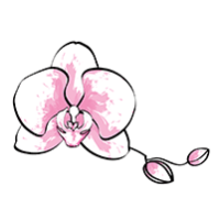 Bela Vida Urogynecology Logo