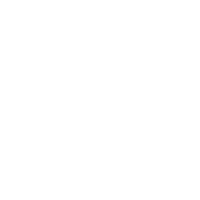 Bradenton Flower Shop Logo