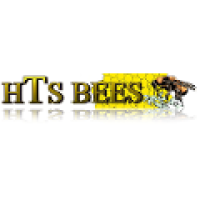 HTS Bees Logo