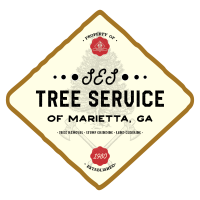 All In Tree Service of Marietta GA Logo