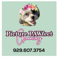 Picture PAWfect Logo