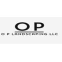 OPN Dock & Yard LLC Logo