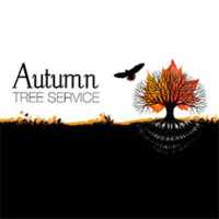 Autumn Tree Service Logo