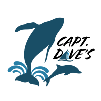 Capt Dave's Dolphin & Whale Watching Safari Logo