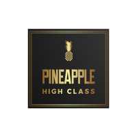 High Class Pineapple Logo