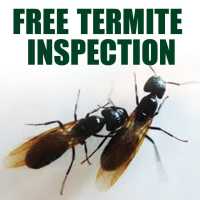 Kilter Termite and Pest Control Logo