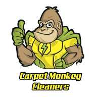 Dynamic Carpet Cleaning Tampa Logo
