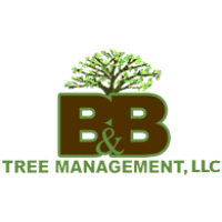 B&B Tree Management Logo