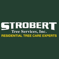 Strobert Tree Services Logo