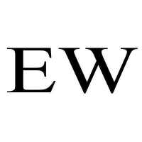 Envisionwise Logo