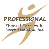Professional Physical Therapy and Sports Medicine Logo