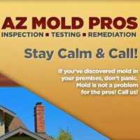 AZ Mold Pro's Logo