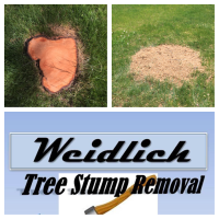 Weidlich Stump Removal Logo