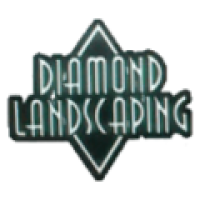 Diamond Landscaping and Snow Removal Logo