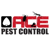 Ace Pest Control Logo