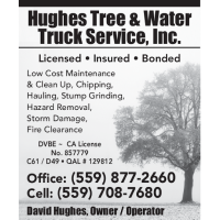 Hughes Tree Service Logo