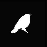 Blackbird Cafe Logo
