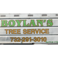 Boylanâ€™s Tree Service LLC Logo