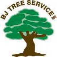 BJ Tree Service, LLC & Mack Mulch, LLC Logo