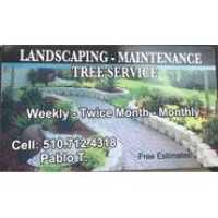 Pablo's Landscaping, Maintenance & Tree Service Logo