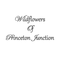 Wildflowers Of Princeton Junction Logo