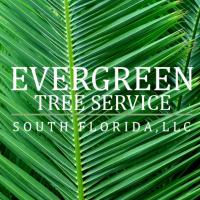 Evergreen Tree Service South Florida, LLC Logo