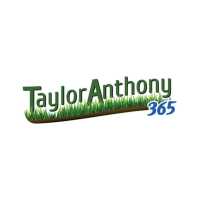 Taylor Anthony 365 Logo