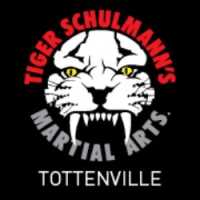 Tiger Schulmann's Martial Arts (Tottenville, Staten Island NY) Logo