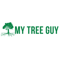 My Tree Guy, LLC Logo