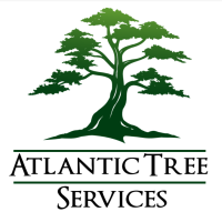 Atlantic Tree Services, LLC Logo