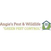 Angie's Pest Control Logo