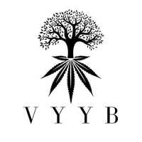 Vyyb Logo