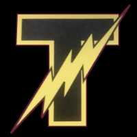 Denis Electric Logo