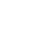 Pioneer Flowers Logo