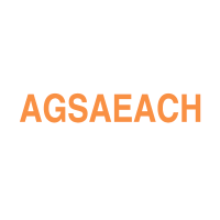 AGS Air Express Logo