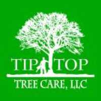 Tip Top Tree Care, LLC :: Knoxville Tree Removal & Land Clearing Services Logo