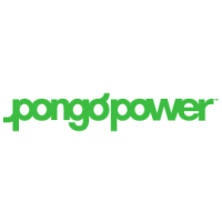 Pongo Power Flatbush Logo