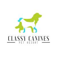 Classy Canines Pet Resort Logo