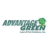 Advantage Green Logo