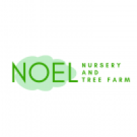 NOEL NURSERY AND TREE FARM Logo
