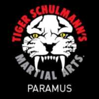 Tiger Schulmann's Martial Arts (Paramus, NJ) Logo