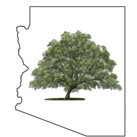 AZ Tree and Landscaping Service Inc. Logo