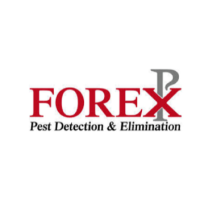Forex Pest Detection and Elimination Logo