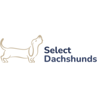 Select Dachshunds Logo