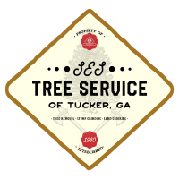 All In Tree Service of Tucker Logo