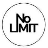 No Limit Motorsports LLC Logo