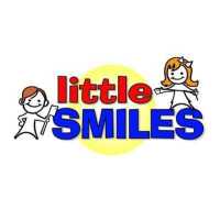 Little Smiles of Surprise Logo