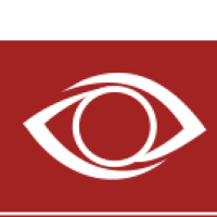 King Vision Logo